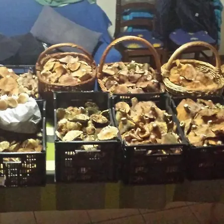 Сasa de vacaciones Rurales Carlos